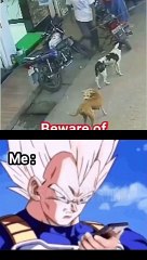 Junte-se a mim o Herdeiro do trono Saiyajin na busca pela grandeza_ Kakarotto pode ter os seus fãs_ mas o verdadeiro poder reside aqui__⚡️ _risadasaiyajin _._._.__meme _memepage _dragonball _anime(MP4)