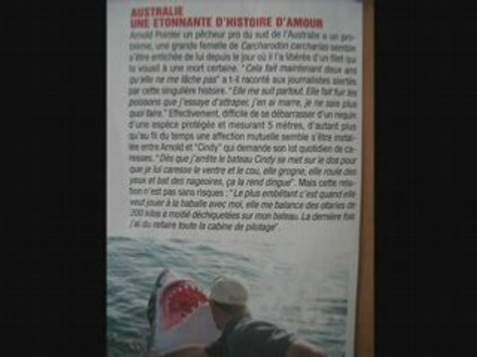white shark