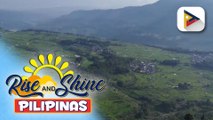 Iba’t ibang paandar sa tsaa, tampok sa China; Tea farms, nagsisilbi na ring tourist spots