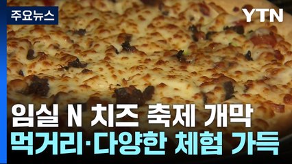 치즈 향 가득한 '임실N치즈축제' 개천절에 개막 / YTN
