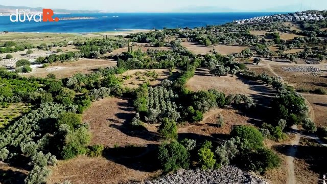 Sanatçılar ve yazıtlar kenti Teos...