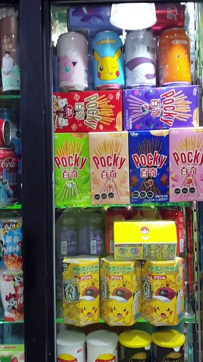 Chinese Import Store in Santiago, Chile