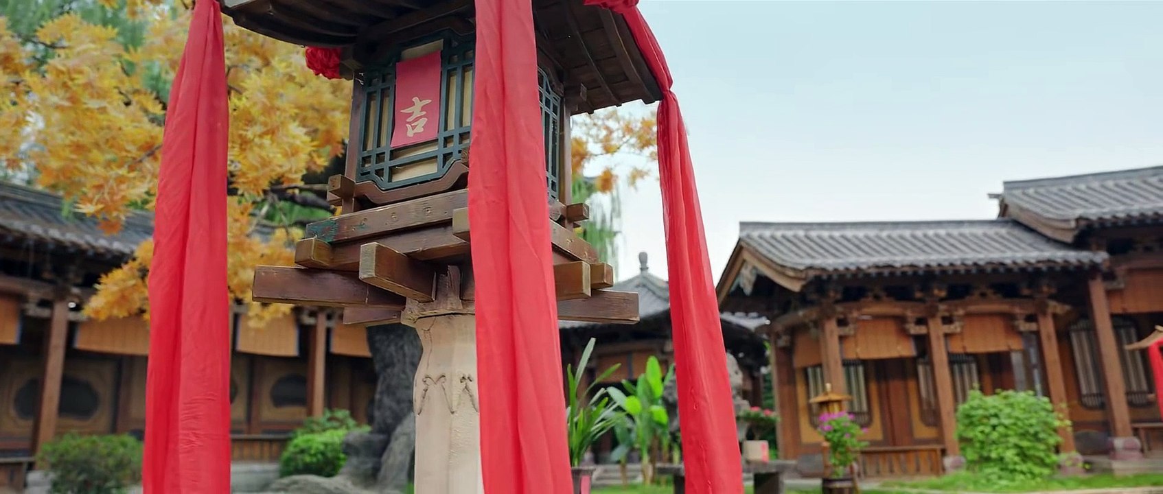 误入君梦24