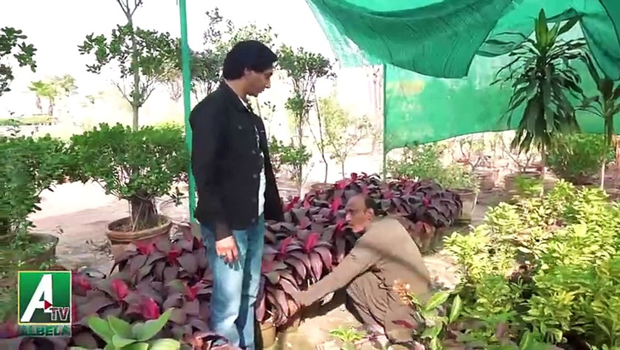 Goga Pasroori flower seller and Saleem Albela customer _ Albela Tv(480P)