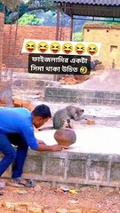 Cat is sitting on the pot,,,,,