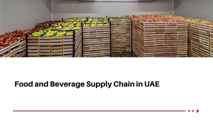 Ready to Sail? Explore Our LCL & FCL Transport Services!