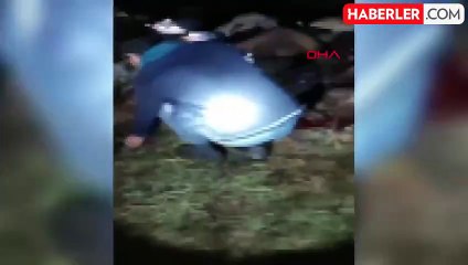 Bingöl'de Yıldırım Düşmesi Sonucu 30 Koyun Öldü