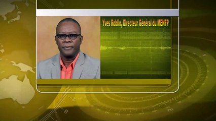 下载视频: Direktè jeneral MENFP Yves Roblin salye desizyon gouvènman pran pou ogmante bidjè ministè edikasyon