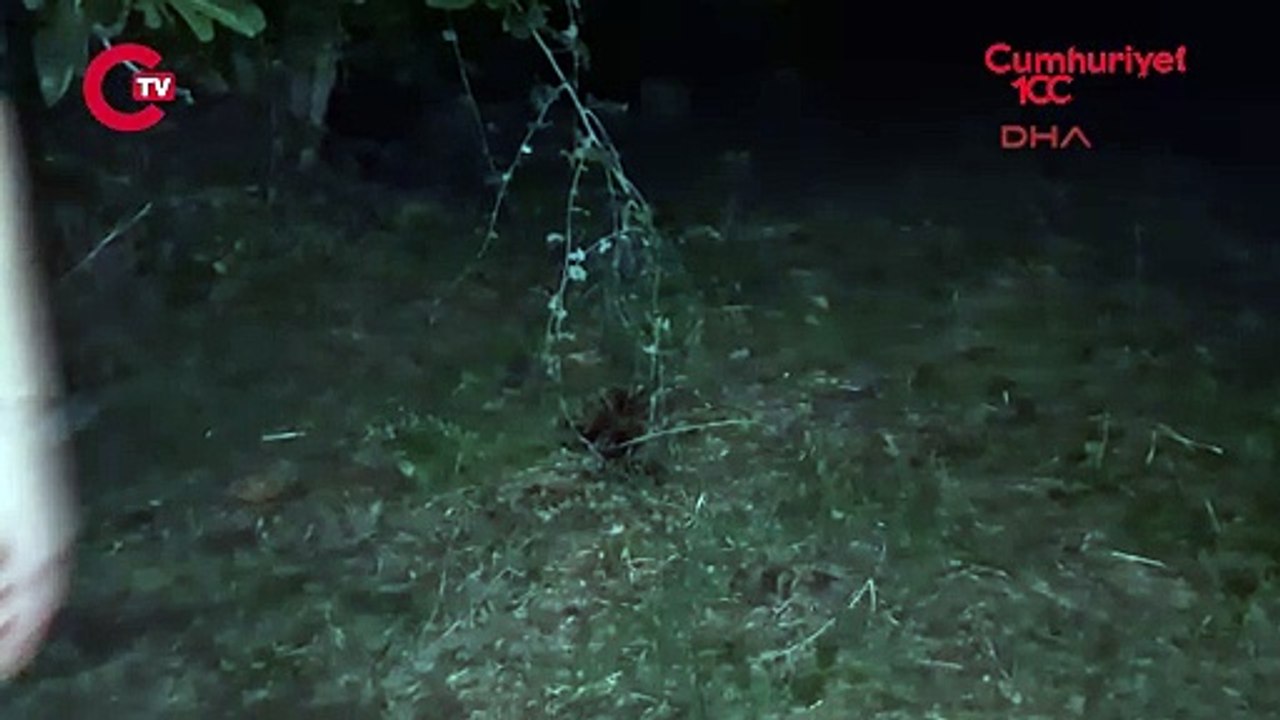 15 yaşındaki çocuk 16 yaşındaki çocuğu bıçaklayarak öldürdü!