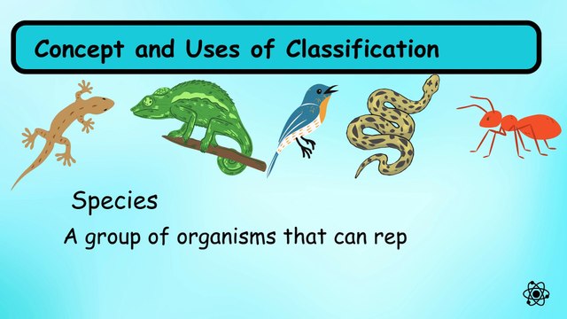 Chapter 1. Characteristics & Classification of Living Organisms IGCSE Paper Biology 0610