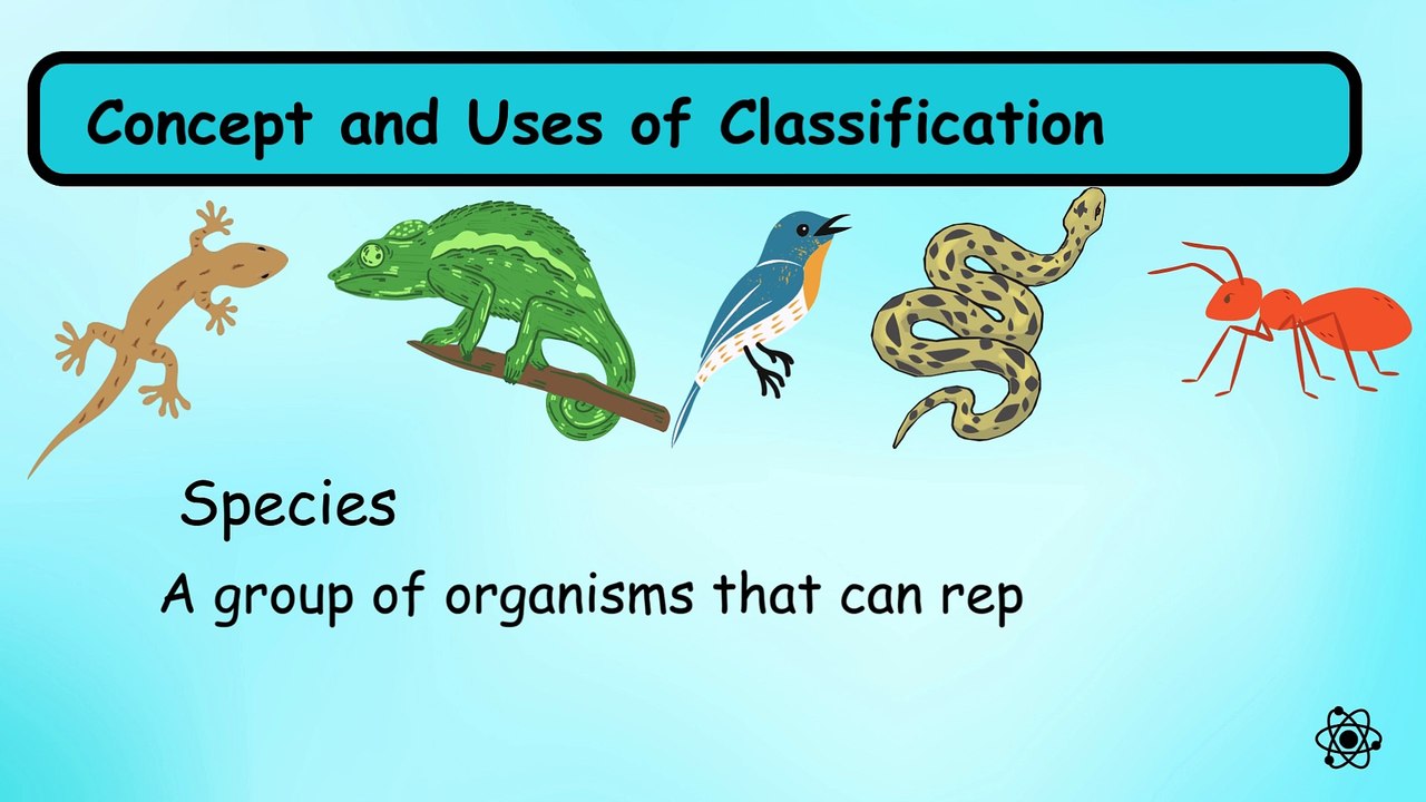Chapter 1.  Characteristics & Classification of Living Organisms IGCSE Paper Biology 0610