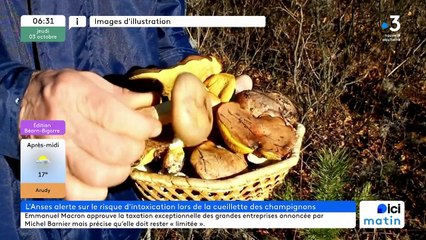 03/10/2024 - ICI Matin France Bleu Béarn Bigorre en vidéo