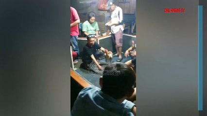 MOMEN NGAKAK POLISI GREBEK WARGA SABUNG AYAM SAMPE LARI TERBIRIT-BIRIT