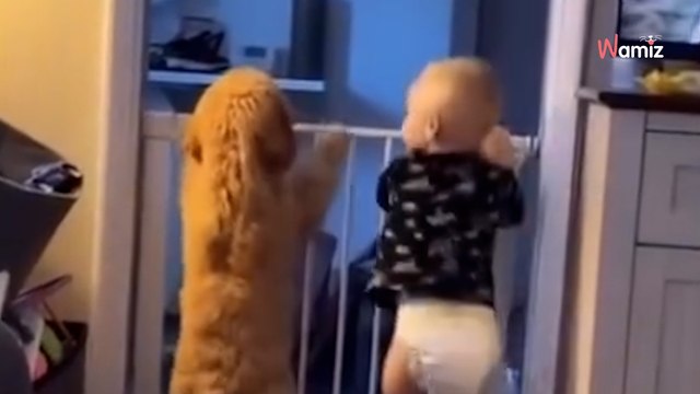 „Das Süßeste, das ich jemals gesehen habe“: Baby-Hunde-Video geht viral