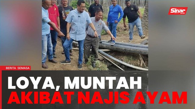 Penduduk alami simptom kesihatan akibat pembuangan sisa najis ayam