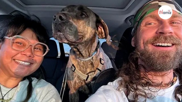 Hond knapt van blijdschap als hij beseft waar de reis naartoe gaat