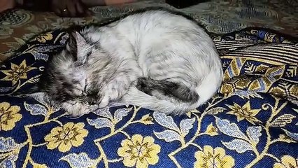 Awaz E Bezuban...Inn k dost nhi aatay...ye bhi ho gya