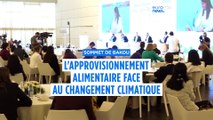 Au sommet de Bakou sur le climat, l'approvisionnement alimentaire mondial en question