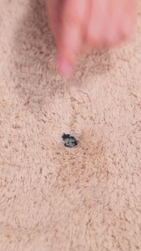 Hacks or Real Repair Tips? Find Out What Actually Works!