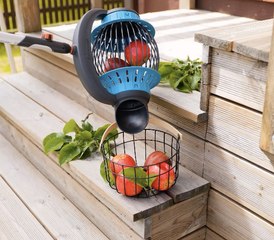 Des astuces de culture inventives pour des jardins plus verts !