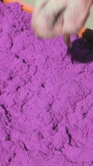 Keep Your Pet Safe with This Brilliant Jewelry Idea and a Comfy Pallet Home! 