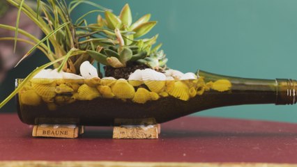 Recyclez vos lunettes avec ces moyens ! ♻️