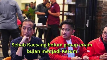 PSI Respons Isu Kaesang Maju Pilkada Solo Mosok Ketum PSI Ngurusi Kota tal level