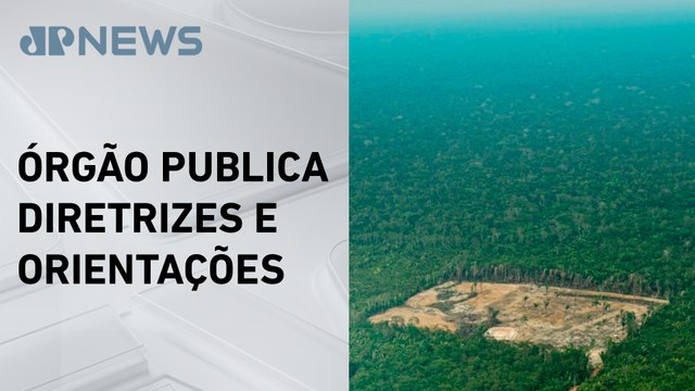 Comissão Europeia propõe adiamento da lei antidesmatamento por um ano