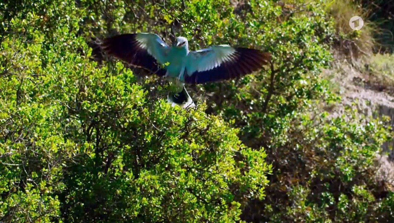 Wildes Griechenland (1) - Der unbekannte Norden