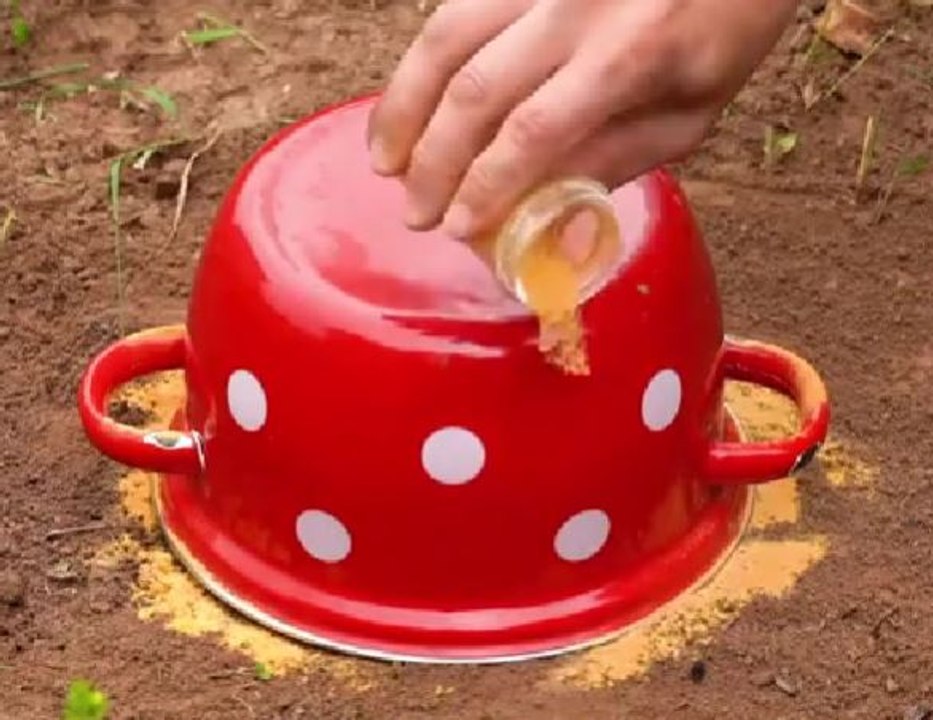 Des ASTUCES INHABITUELLES pour maximiser le potentiel de votre jardin !