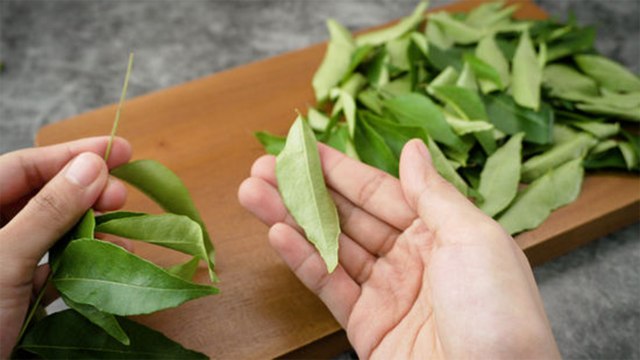 Curry Leaves For Diabetic: डायबिटीज में खाली पेट करी पत्ता खाने से फायदा क्या होता है | Boldsky