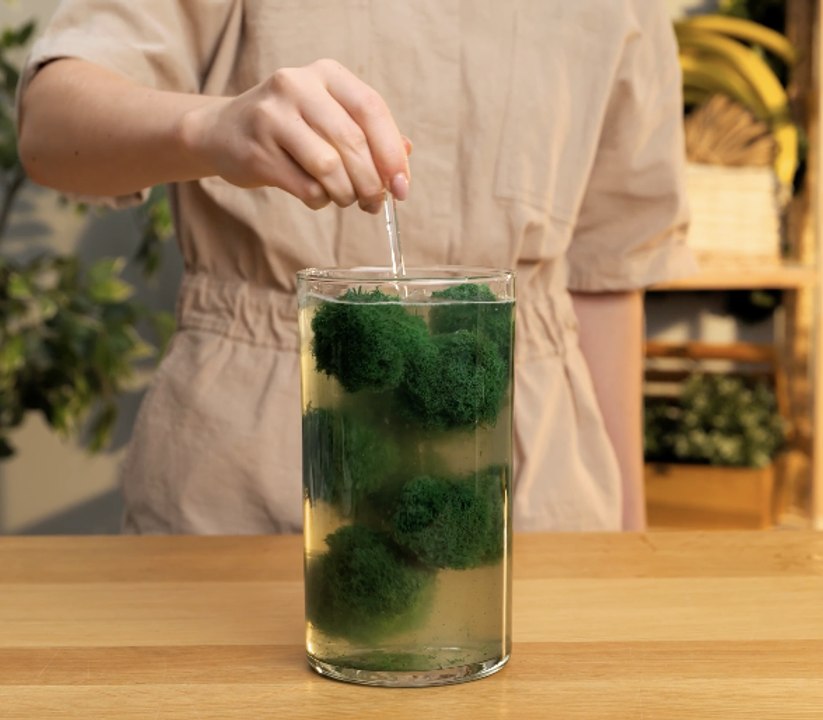 De bonnes idées pour cultiver vos plantes