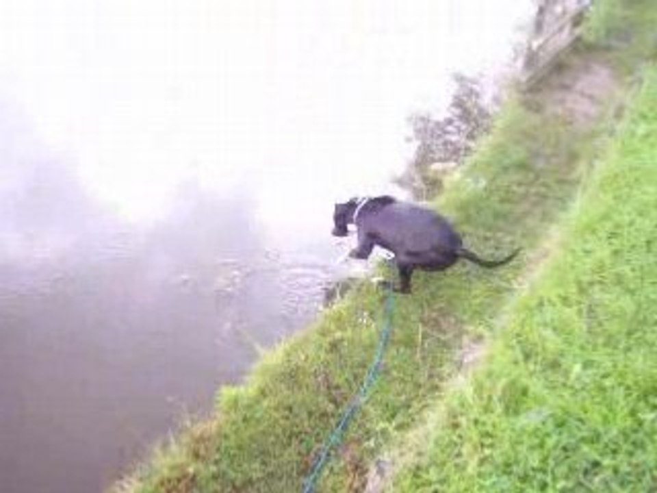 Carbon a la flotte