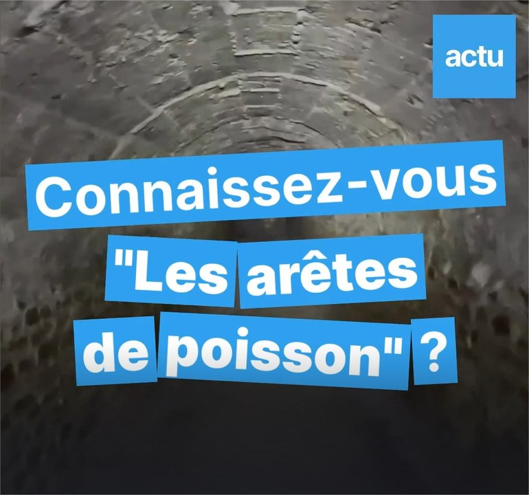 Connaissez-vous les arêtes de poisson, ces galeries souterraines sous Lyon ?