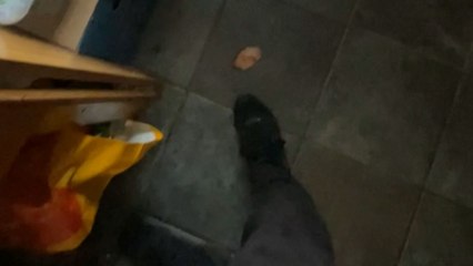 Boy makes a bacon butty only to watch the bacon fall out before eating