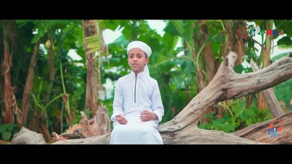 হৃদয় তোলপাড় করা মরমি গজল । Miche Jibon । মিছে জীবন । Hujaifa Islam Kalarab