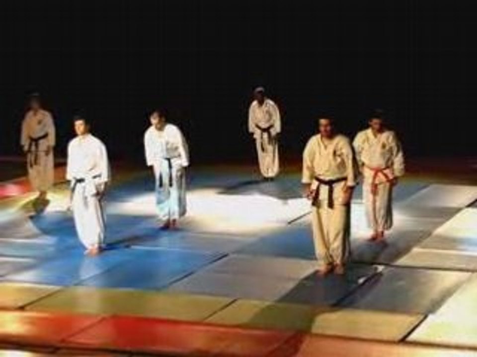 Nanbudo_Gamesco_2008