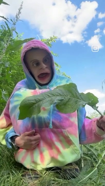 Eating A Plant