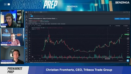 Palantir Stock: Big Data, Big Gains