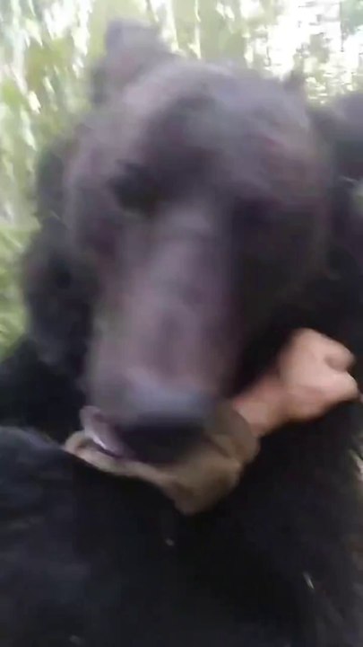 I thought this man was going to get eaten by the bear, until I discovered he was speaking Russian, what agreement did Russians sign with bears to make them family?