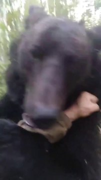 I thought this man was going to get eaten by the bear, until I discovered he was speaking Russian, what agreement did Russians sign with bears to make them family?