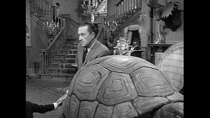 Los Locos Adams temp 1 ep 01 español latino