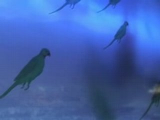 THEMOVIEOFTHEYEAR 8 avril 2008