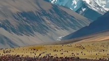 https://www.dailymotion.com/partner/x32xsks/media/video?upload=true