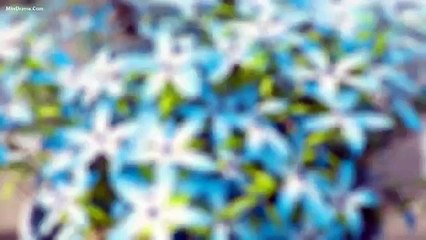 Tập 7 - Nữ Hoàng Trả Giá (Thuyết minh)_DV Lâm Canh Tân, Ngô Cẩn Ngôn