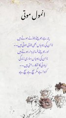 Sunehri batain in urdu | best aqwal e zareen | anmol moti | Musafir |انمول باتیں
