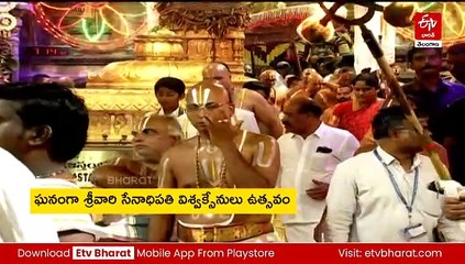 ఘనంగా శ్రీవారి సేనాధిపతి విశ్వక్సేనులు ఉత్సవం