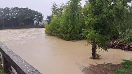 Download Video: Maltempo, il torrente Trossa a Ponteginori (Pisa) nella confluenza con il fiume Cecina (video di Alessandro Bagnoli)