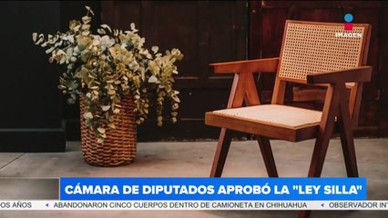 La Cámara de Diputados aprueba la “Ley Silla”