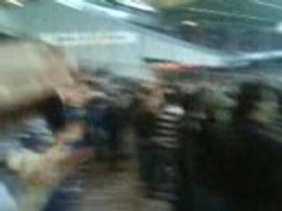 Toulouse bordeaux parkage ultramarines